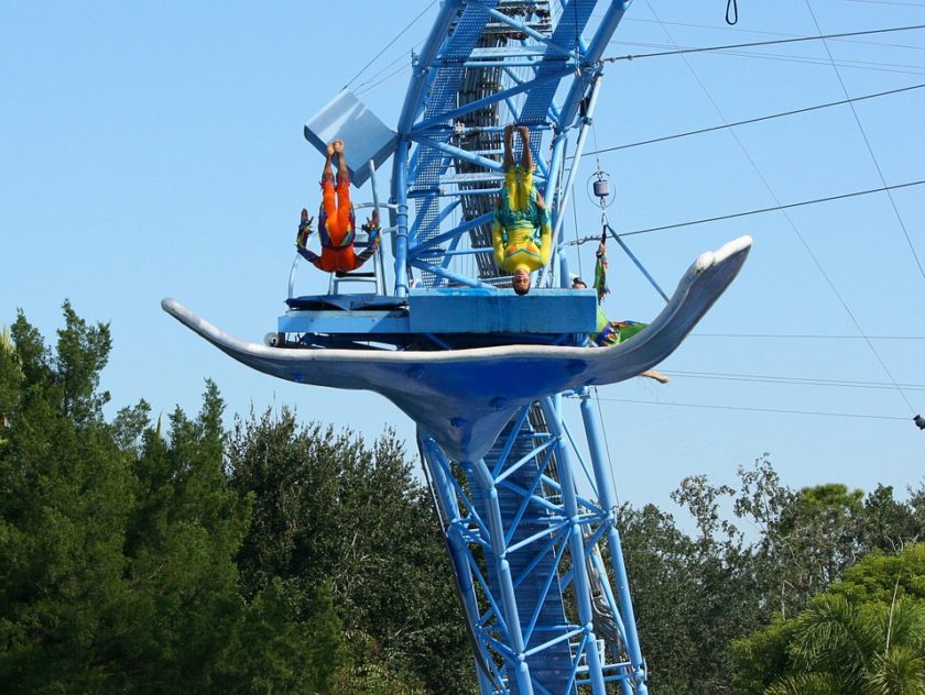 Plongeon discipline olympique Le plongeon