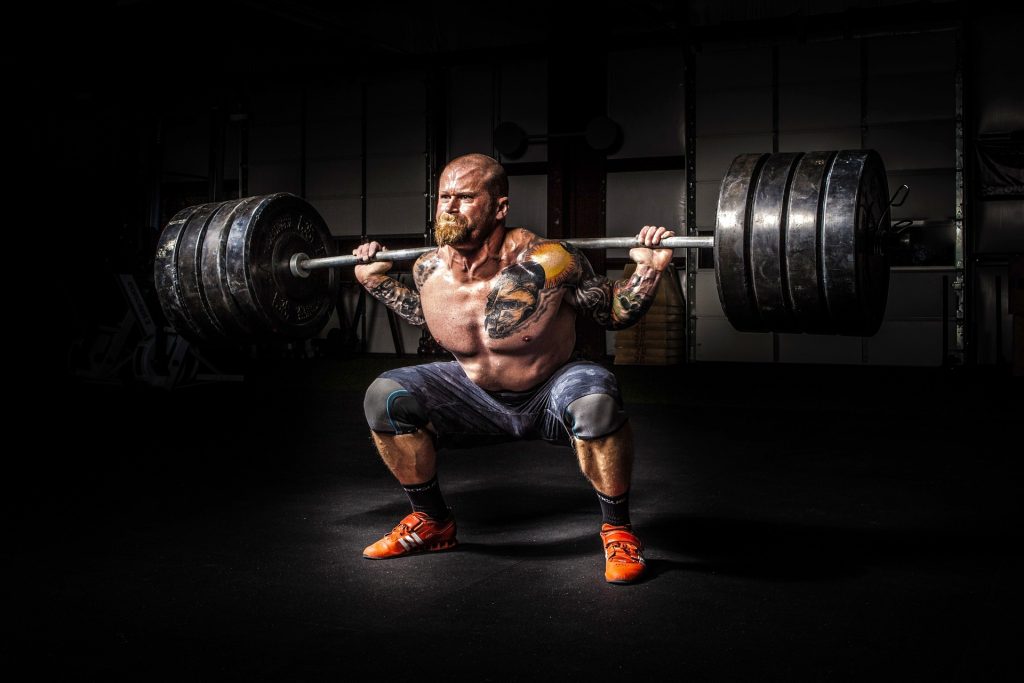 Musculation